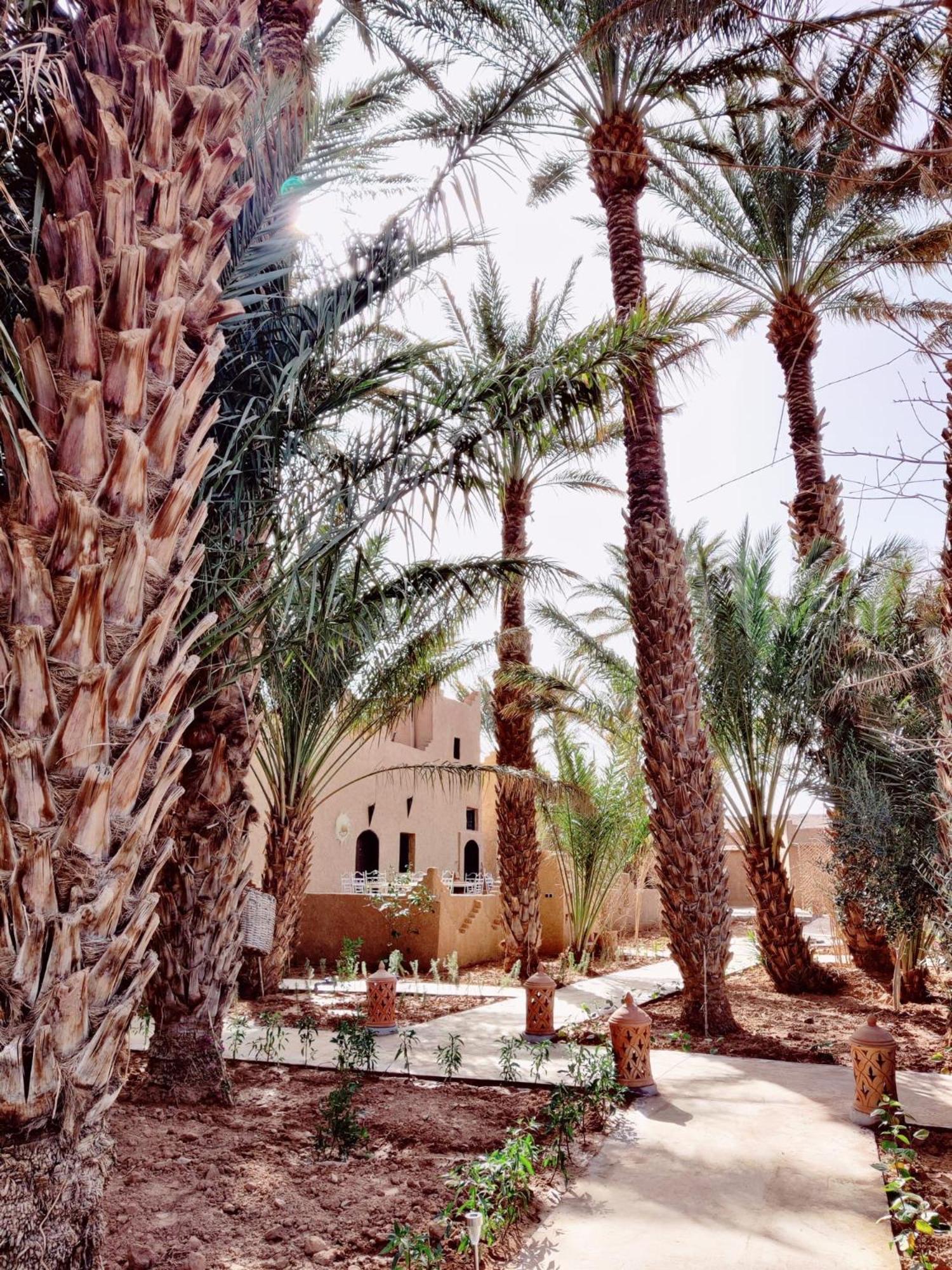 Zagora Oasis Lodge Екстериор снимка